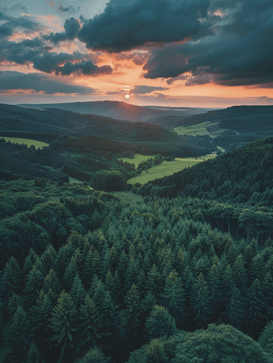Premium Wandbild - Natur | Sonnenuntergang im Schwarzwald