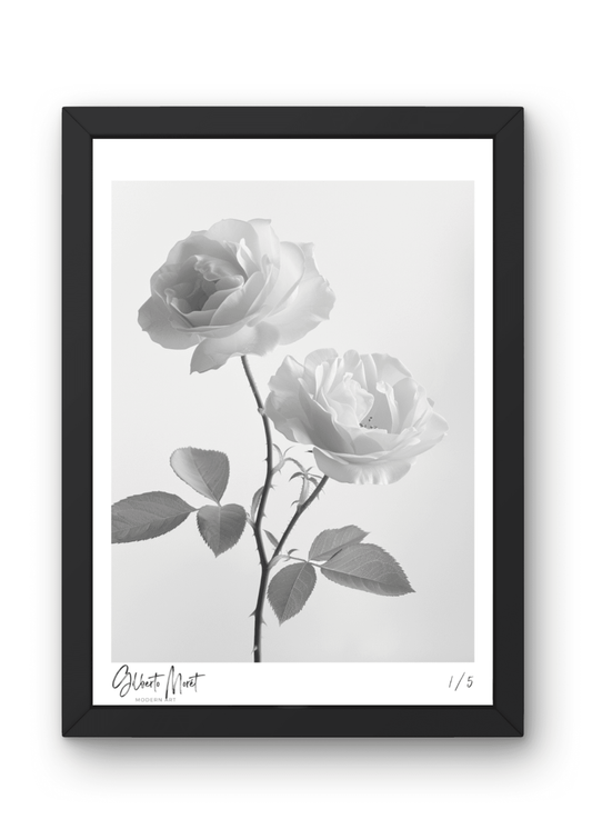 Hahnemühle Fine-Art Kunstdruck - Weiße Rosen in Schwarz-Weiß 004 - Gilberto Morét