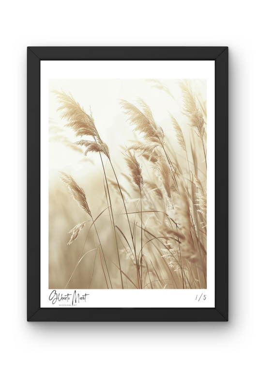 Hahnemühle Fine-Art Kunstdruck - Natur | Gras mit Blüten_002 - Gilberto Morét