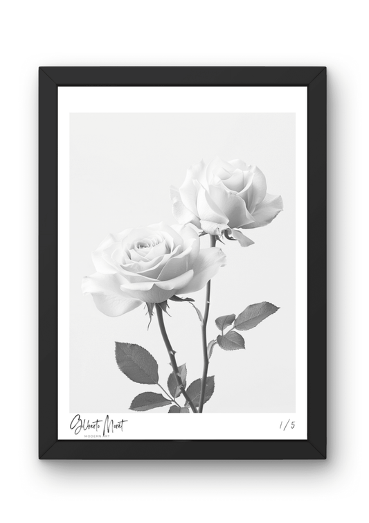 Kunstdruck - Weiße Rosen in Schwarz-Weiß 003 - Gilberto Morét 