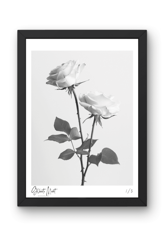 Kunstdruck - Weiße Rosen in Schwarz-Weiß 002 - Gilberto Morét
