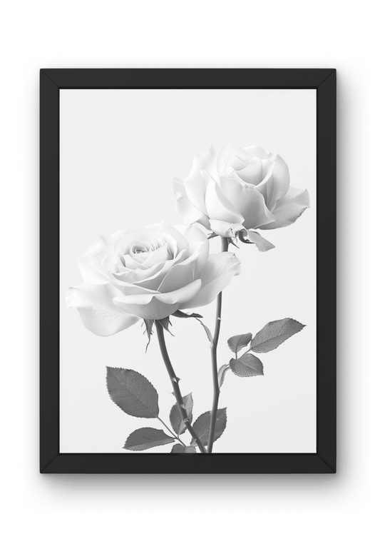 Hahnemühle Fine-Art Kunstdruck - Weiße Rosen in Schwarz-Weiß 003 - No Border