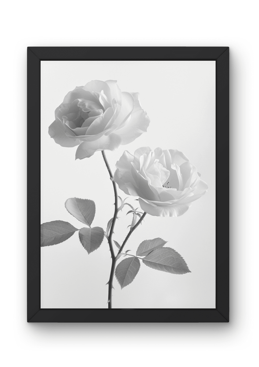 Hahnemühle Fine-Art Kunstdruck - Weiße Rosen in Schwarz-Weiß 004 - No Border